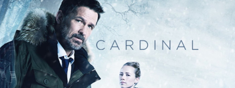 cardinalbanner