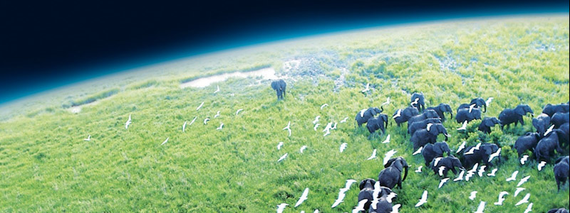 planeta-zem-banner